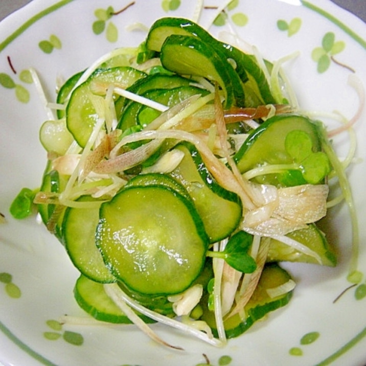きゅうり貝割れみょうがの和え物